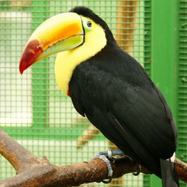 harry_2010_tonis_zoo_056