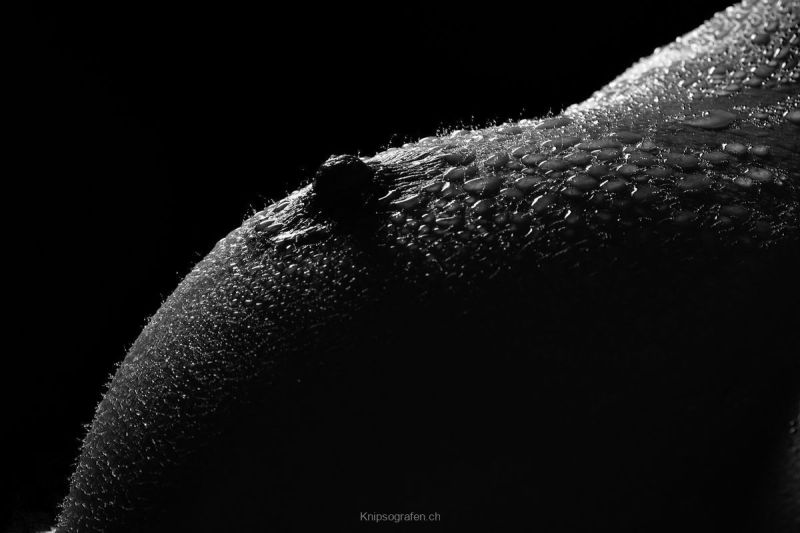harry_2011_akt_oel_wasser_003