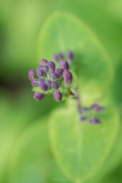 harry_2016_naturlehrgebiet_ettiswil_024