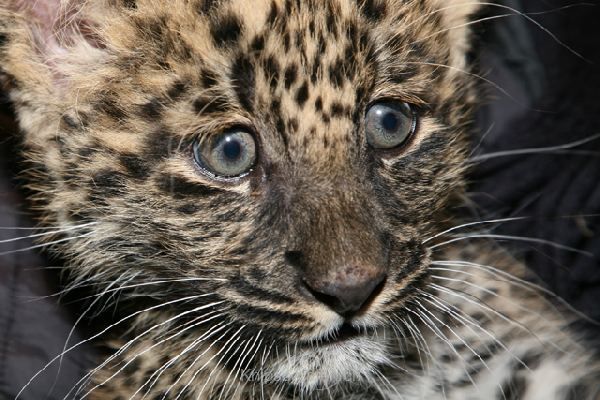 brigit_2010_tonis_zoo_009
