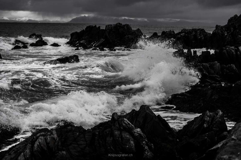 harry_2025_lofotenreise_006