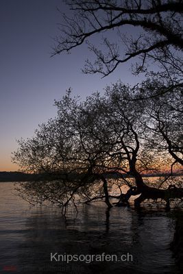 brigit_2015_sonnenuntergang_sempachersee_005