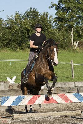 brigit_2015_springreiten_003