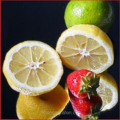 brigit_2007_fruechte_002