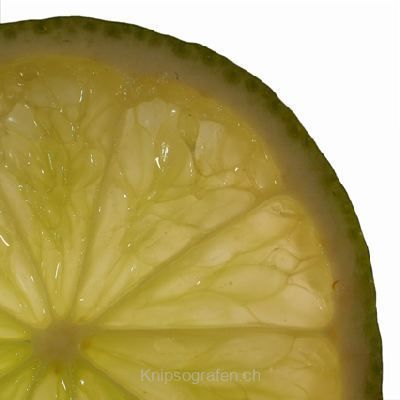 brigit_2007_fruechte_007