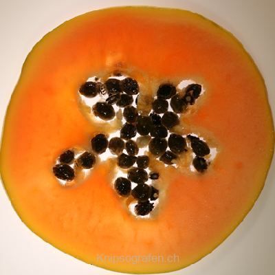 brigit_2007_fruechte_008