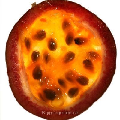 brigit_2007_fruechte_010