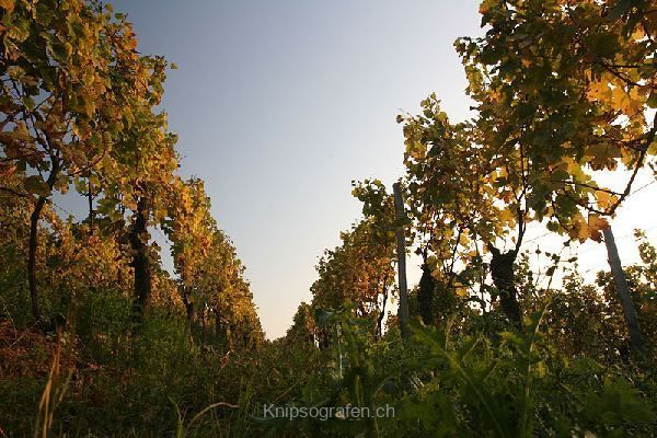 brigit_2007_weekend_elsass_005