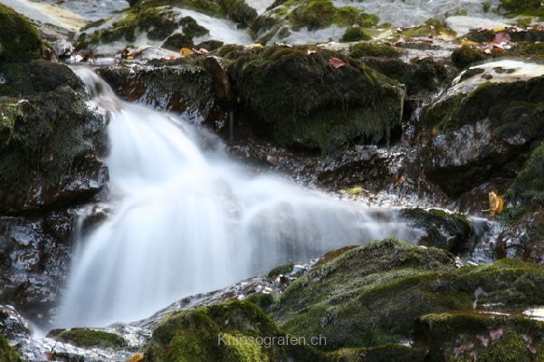brigit_2009_rosenlaui-schlucht_001