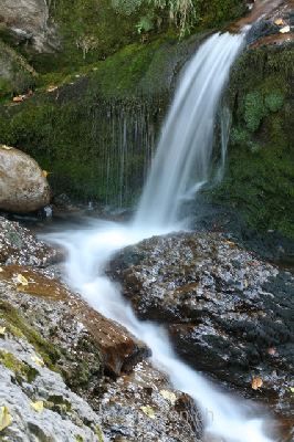 brigit_2009_rosenlaui-schlucht_002
