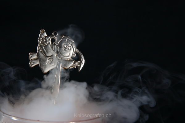 brigit_2011_rauch_015
