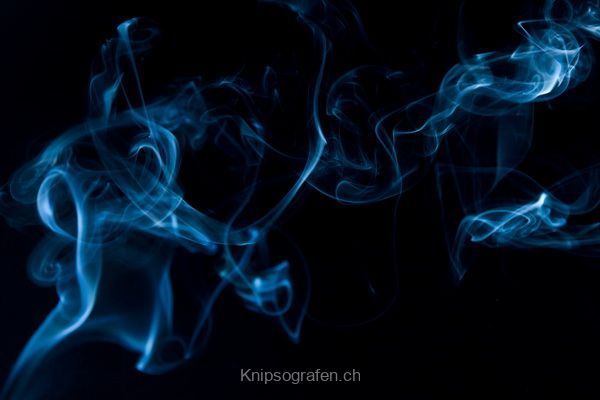 brigit_2011_rauch_020