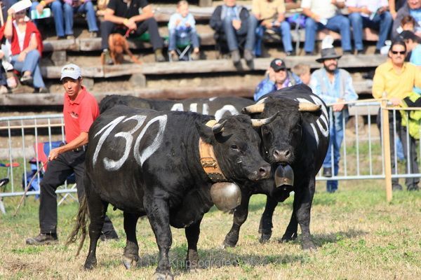 brigit_2011_weekend_wallis_005