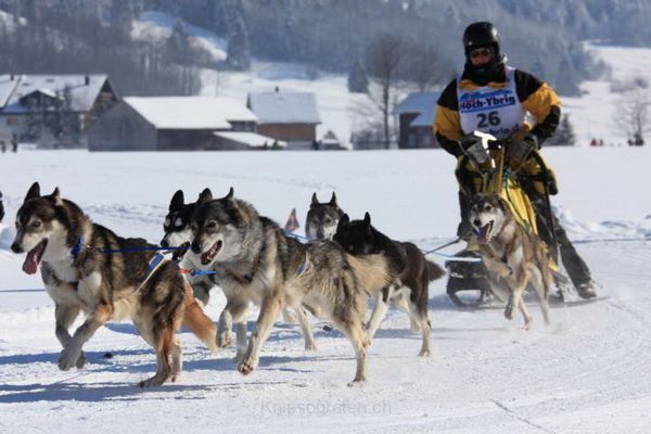 brigit_2012_hundeschlitten_studen_007