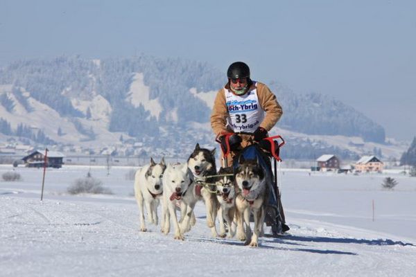 brigit_2012_hundeschlitten_studen_008