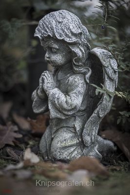 brigit_2014_englischer_friedhof_006