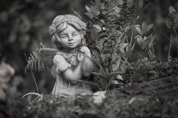 brigit_2014_englischer_friedhof_012