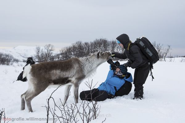 brigit_2015_nordlichtwoche_tromso_004