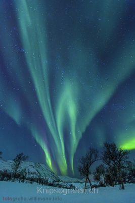brigit_2015_nordlichtwoche_tromso_011