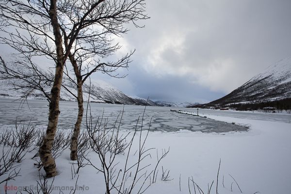 brigit_2015_nordlichtwoche_tromso_049