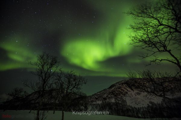 brigit_2015_nordlichtwoche_tromso_057