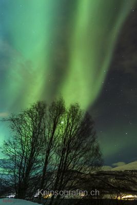 brigit_2015_nordlichtwoche_tromso_063