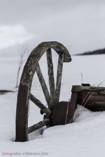 brigit_2015_nordlichtwoche_tromso_054