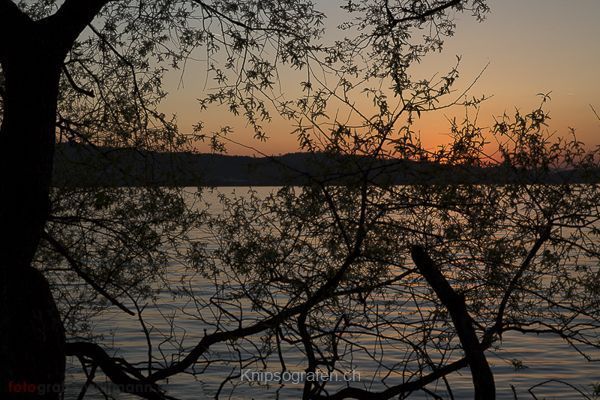 brigit_2015_sonnenuntergang_sempachersee_002
