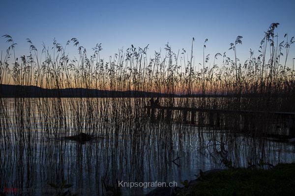 brigit_2015_sonnenuntergang_sempachersee_006
