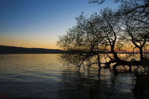 brigit_2015_sonnenuntergang_sempachersee_004