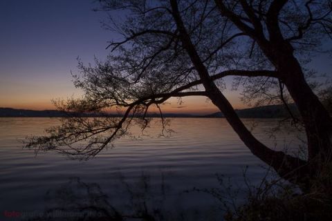 brigit_2015_sonnenuntergang_sempachersee_009