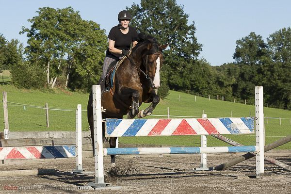 brigit_2015_springreiten_005