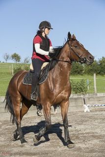 brigit_2015_springreiten_001