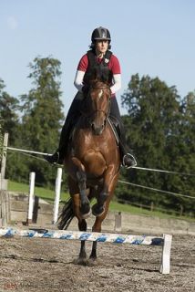 brigit_2015_springreiten_002