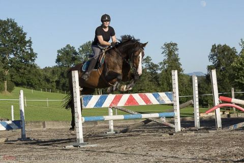 brigit_2015_springreiten_006