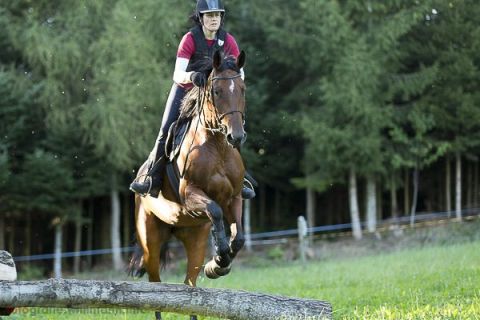 brigit_2015_springreiten_007