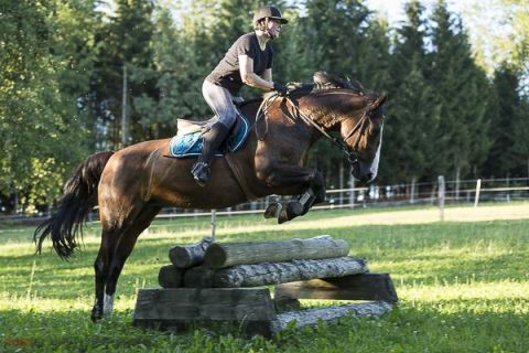 brigit_2015_springreiten_008