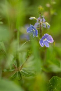 brigit_2016_naturlehrgebiet_ettiswil_004