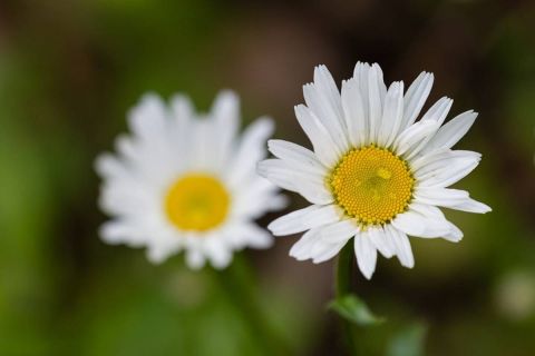 brigit_2016_naturlehrgebiet_ettiswil_005
