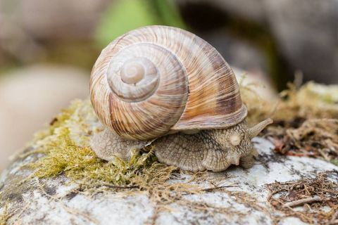 brigit_2016_naturlehrgebiet_ettiswil_006