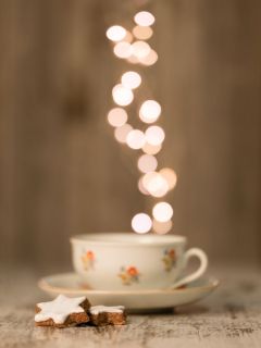 brigit_2016_stilleben_makros_advent_008