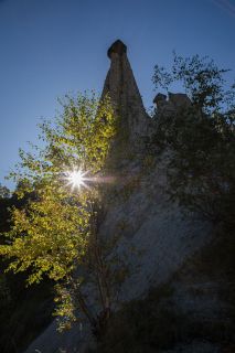 brigit_2019_weekend-wallis_009