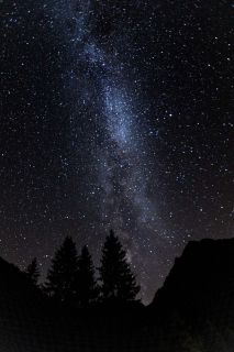 brigit_2019_weekend-wallis_010
