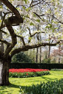 brigit_2023_weekend-Amsterdam_001