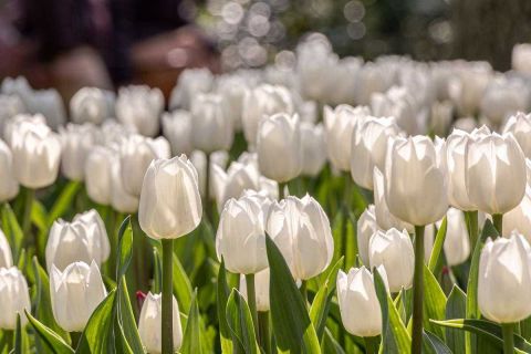 brigit_2023_weekend-Amsterdam_010