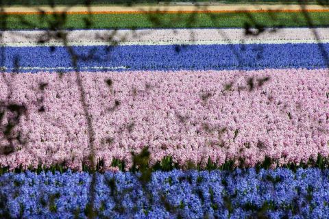 brigit_2023_weekend-Amsterdam_011