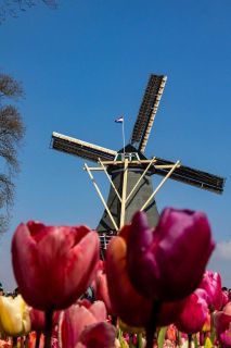 brigit_2023_weekend-Amsterdam_012