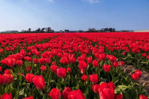 brigit_2023_weekend-Amsterdam_015