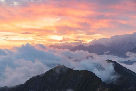 brigit_2024_steinboecke_sonnenaufgang_001