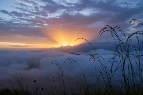 brigit_2024_steinboecke_sonnenaufgang_002